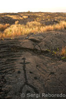 Petroglifos Pu’u Loa.  Hawai’i Volcanoes Nacional Park. Big Island.